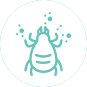 Allergy Icon
