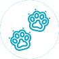 Allergy Icon